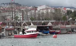 Prof. Dr. İlhan Altınok: ‘Hamsi gazı denilen bir gaz yoktur’